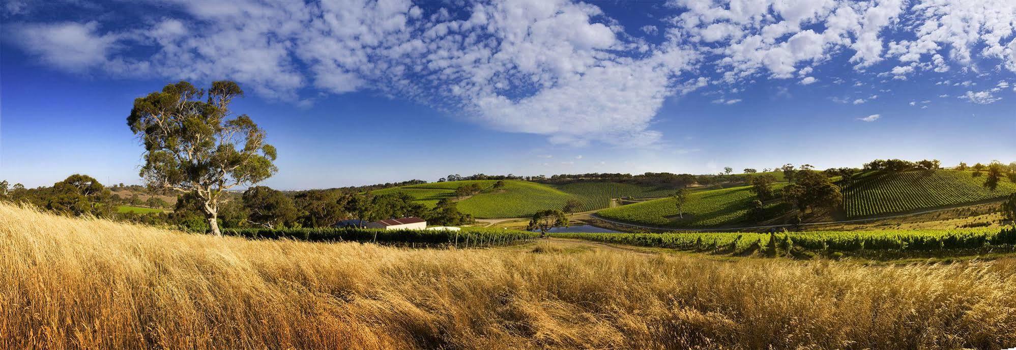 Bed and Breakfast Longview Vineyard Macclesfield Exteriér fotografie